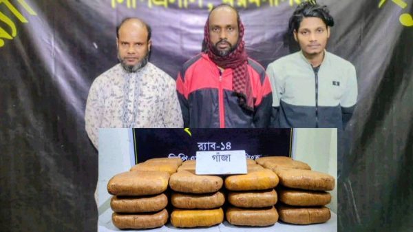 কেন্দুয়া ৭২ কেজি গাঁজাসহ গ্রেফতার ৩