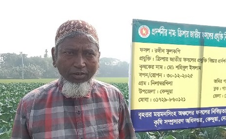 রঙ্গীন ফুলকপি চাষে কেন্দুয়ায় কৃষক লাভবান