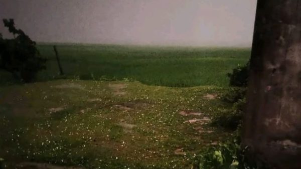 শিলাবৃষ্টিতে ফসলের ব্যাপক ক্ষতির আশঙ্কা