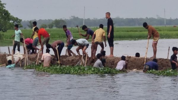 ফসল রক্ষা বাঁধ নিয়ে কলমাকান্দায় দুই ইউনিয়নের সংঘর্ষ, আহত অন্তত ২০