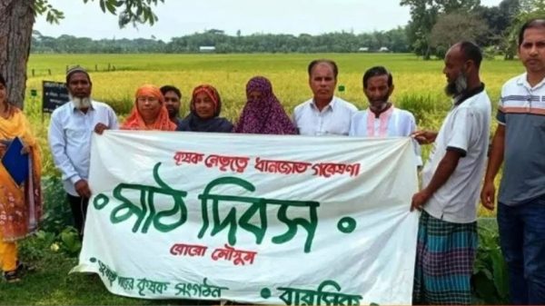 আটপাড়ায় স্থানীয় ধান জাত গবেষণায় মাঠ দিবস অনুষ্ঠিত