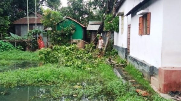 দুর্গাপুর সামান্য বৃষ্টিতেই তলিয়ে যায় এলাকা মানবেতর জীবনযাপন ২৫—৩০ পরিবারের