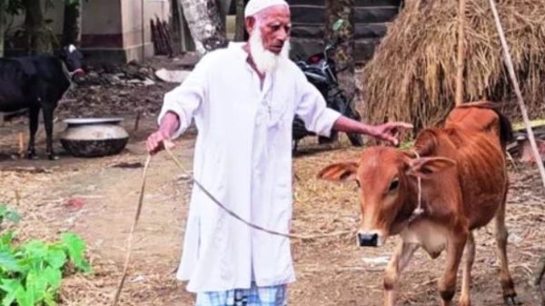 দীর্ঘ প্রায় ১৫ বছর ধরে নিয়মিত বয়স্ক ভাতা পেলেও ১৮ মাস ধরে তার ভাত পান না মো. আব্দুল মজিত