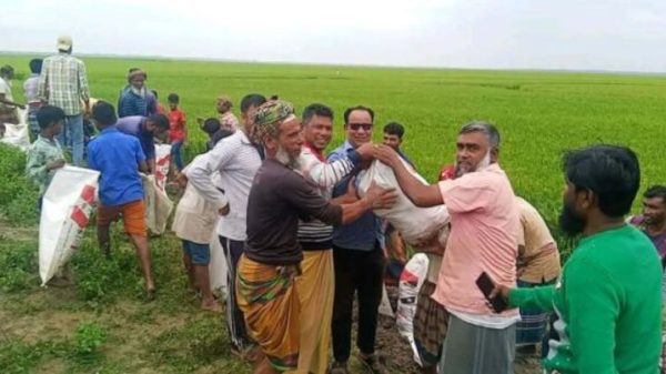 মদন হাওরের ফসল রক্ষায় স্লুইসগেট ২০০ বস্তা প্রদান