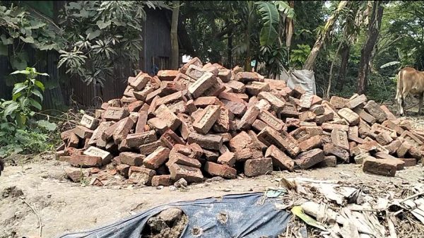 মোহনগঞ্জে সরকারি রাস্তার ইট লুটপাট করে বিক্রি