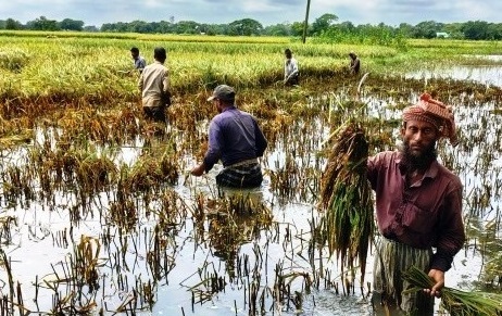 কলমাকান্দায় পানির নিচে কৃষকের স্বপ্ন