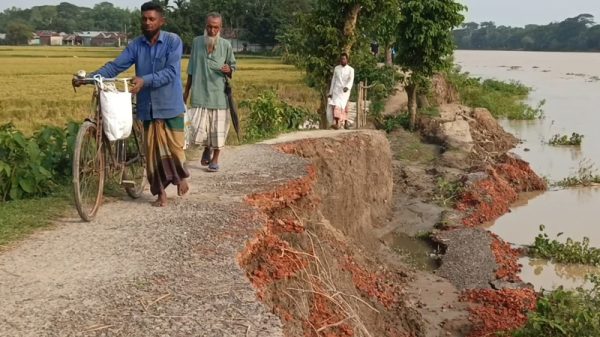 নেত্রকোণায় কংস নদীভাঙন আতঙ্কে ২০ গ্রামের মানুষ