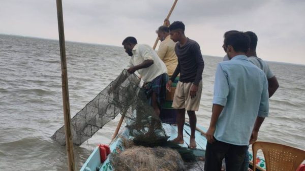 নেত্রকোণা বিভিন্ন উপজেলায় মোবাইল কোর্ট অভিযান পরিচালিত