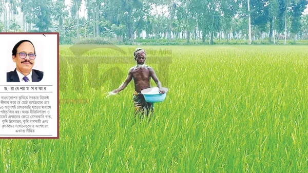 কৃষির সংকট বাজারে, সমাধান নীতিতে