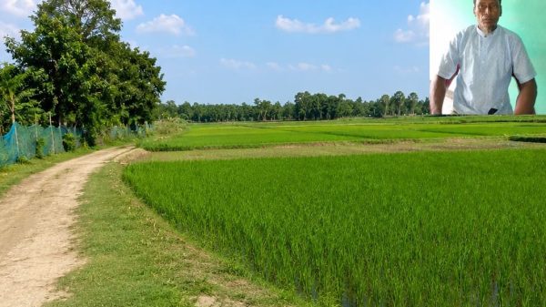 আটপাড়ায় আওয়ামী লীগ নেতার বিরুদ্ধে জমি দখলের অভিযোগ