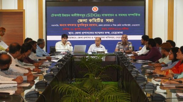 টেকসই উন্নয়ন অভীষ্টসমূহ এসডিজির বাস্তবায়ন ও সমন্বয় সম্পর্কিত জেলা কমিটির সভা অনুষ্ঠিত